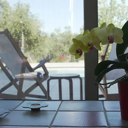 Βίλα Olive Garden Costa Navarino