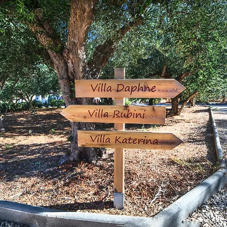 Olive Garden קוסטה נאבארינו