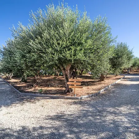 Villa Olive Garden *