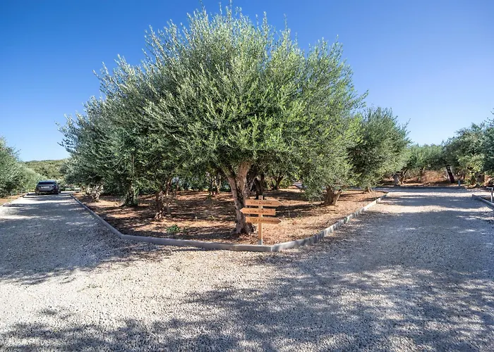 Villa Olive Garden *